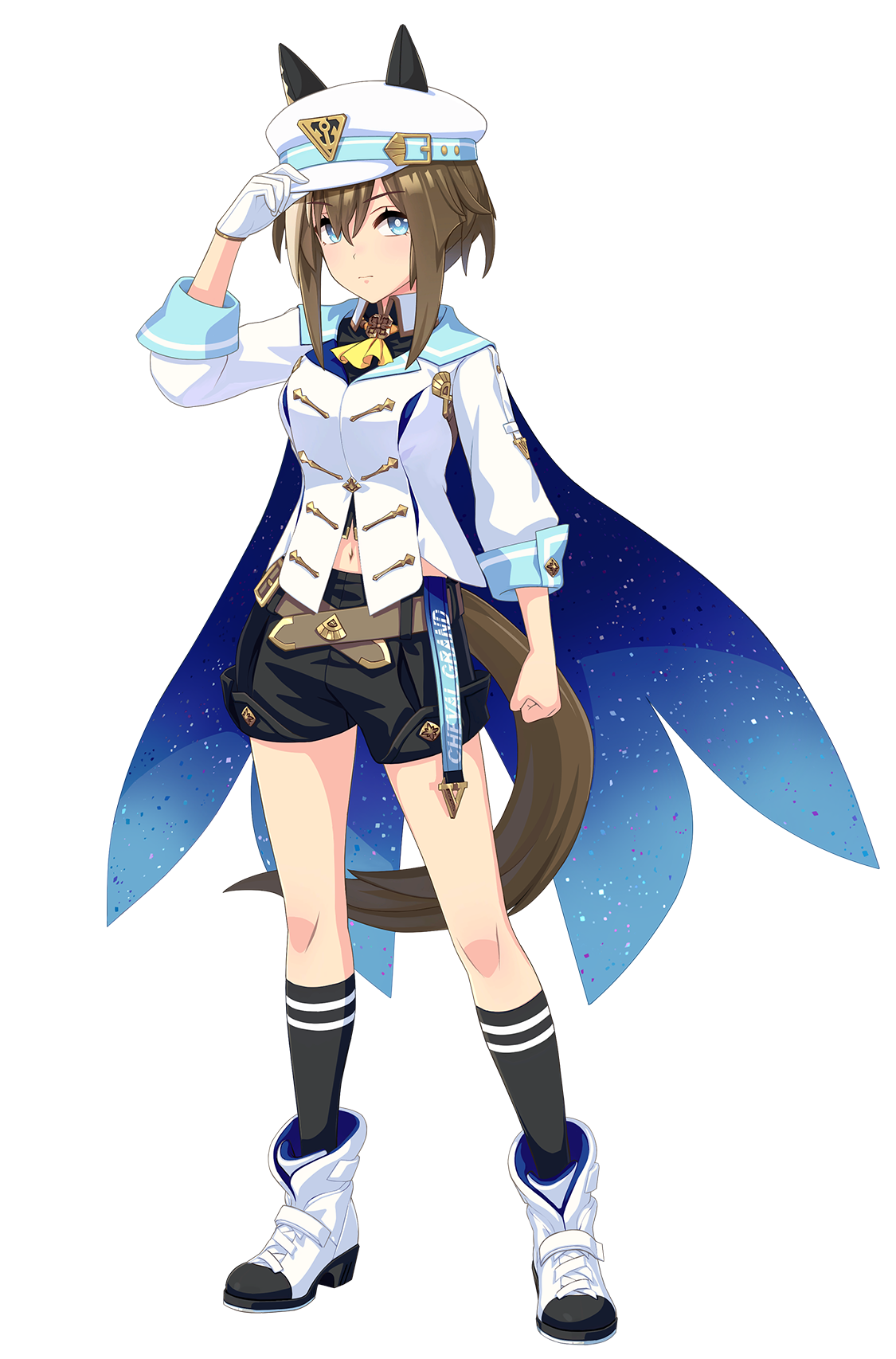 シュヴァルグラン(勝負服・ウマ娘 公式アートワークより)